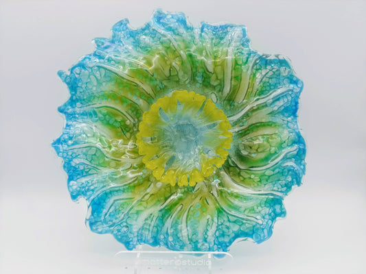 organisms for a square house