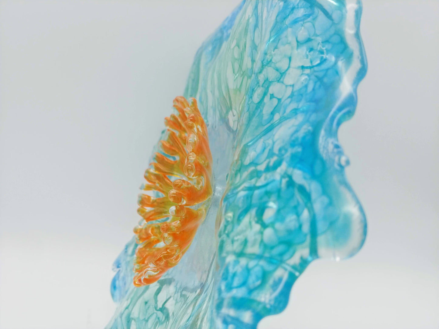 organisms for a square house