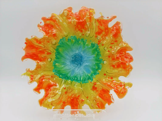 organisms for a square house