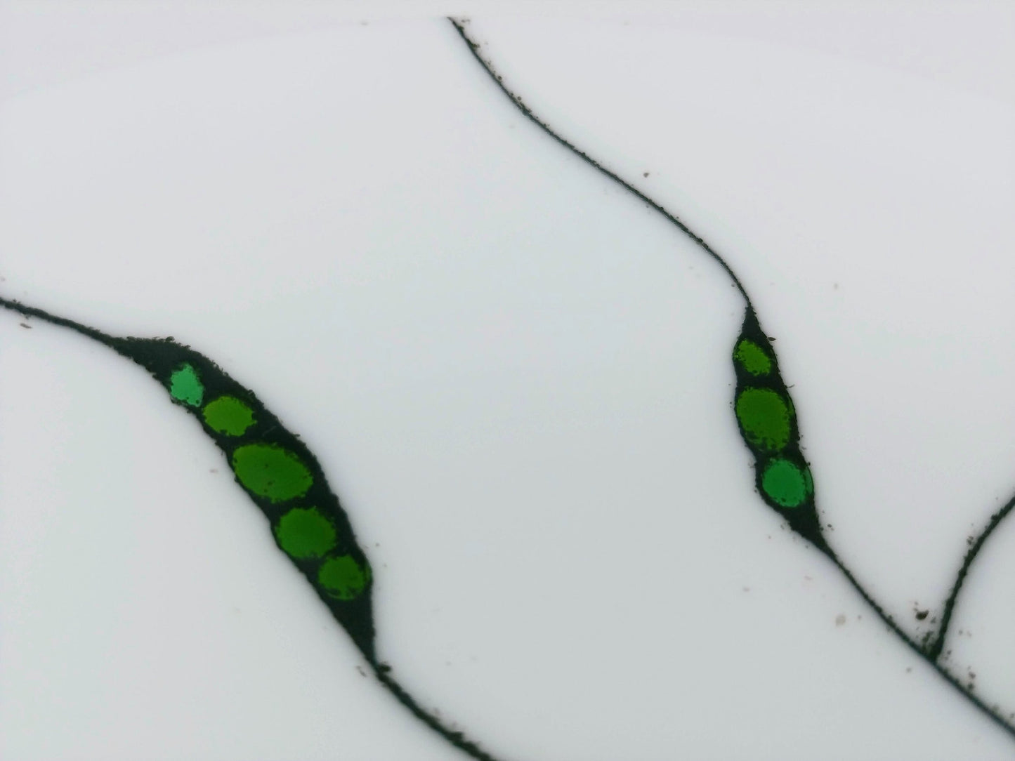 peas in pods