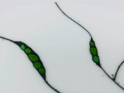 peas in pods