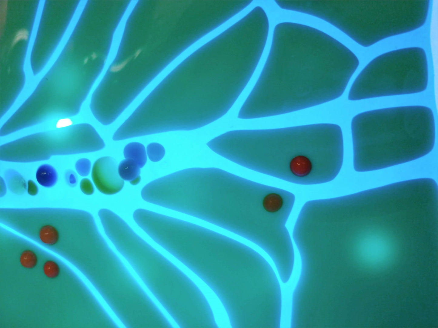 shatter fish